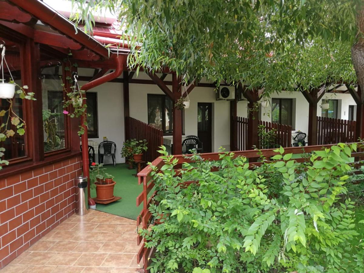 Pensiunea Casa Matei Hotel Berca Luaran gambar