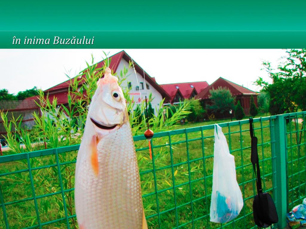 Pensiunea Casa Matei Hotel Berca Luaran gambar