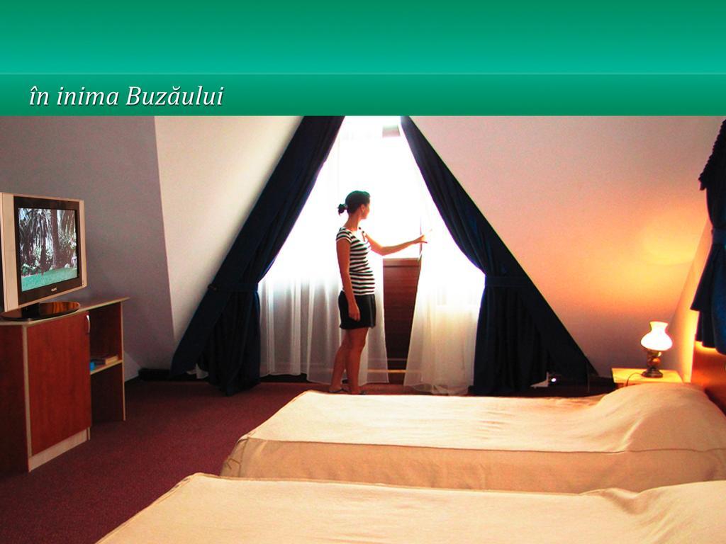 Pensiunea Casa Matei Hotel Berca Bilik gambar