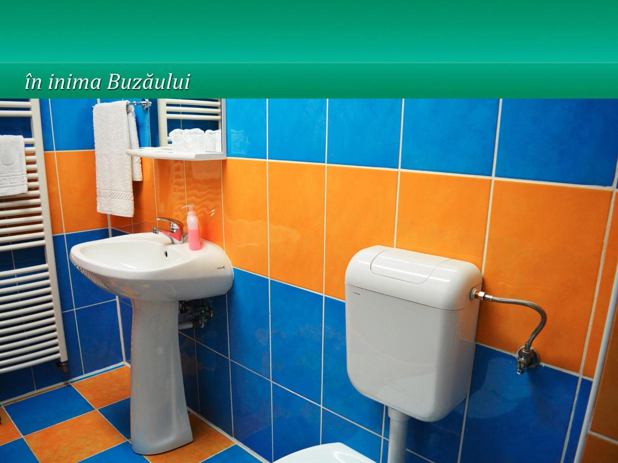 Pensiunea Casa Matei Hotel Berca Luaran gambar