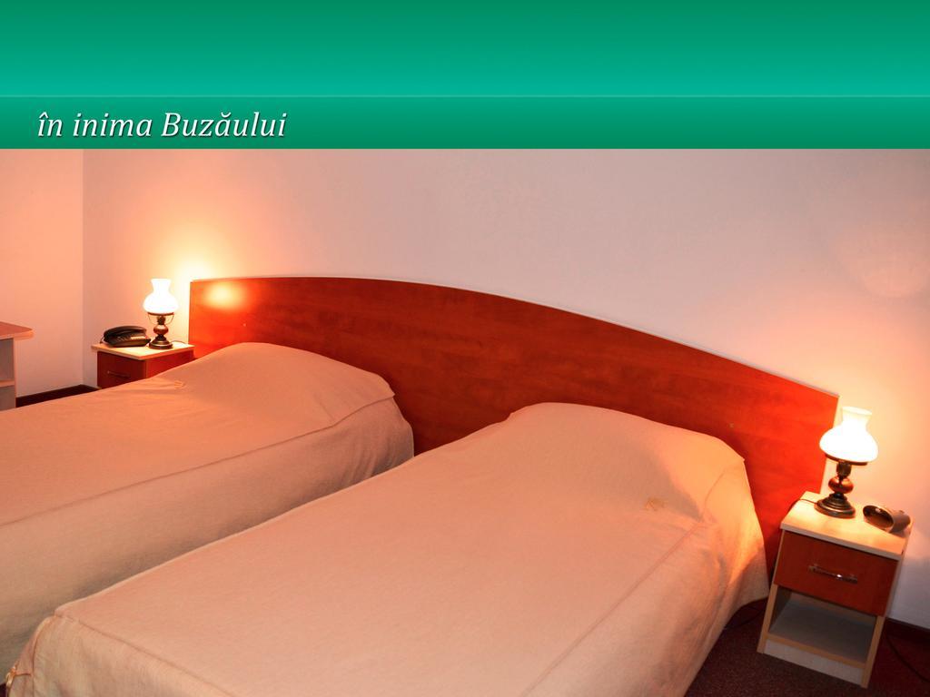 Pensiunea Casa Matei Hotel Berca Bilik gambar